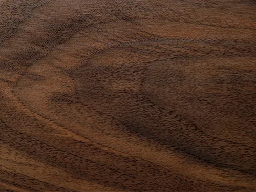 American_Black_Walnut
