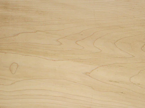 American_Hard_Maple