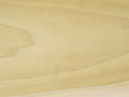 American_Poplar_Tulipwood