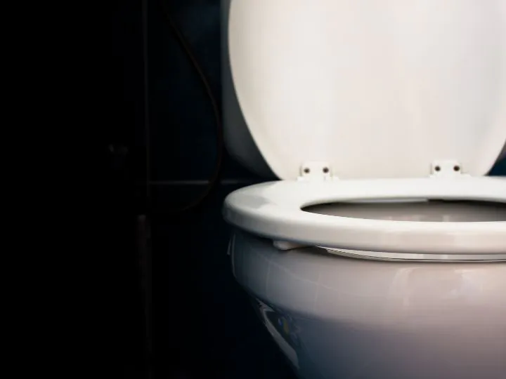 Toilet Seats