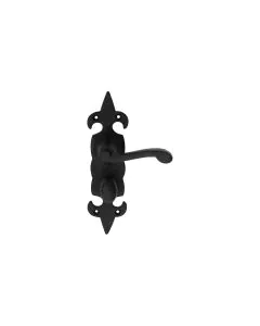 Fleur De Lys Lever on Backplate with 3 Hinges WC - Black Powder Coat