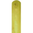 Round Top Fence Board Smooth 150 x 22mm x 1.8m Treated (Green)