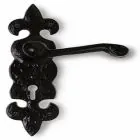 Black Antique Fleur De Lys Lever on Backplate Handles including Lock and 3 Hinges