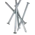 Galvanised Round Wire Nail 65mm - 2.5kg box