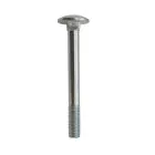 Cup Bolt 10x100 (5)
