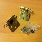 Snap Hinge Brass (pair)