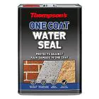 Thompsons One Coat Water Seal - 5 L / Clear