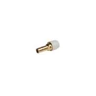 Spigot/Socket Conversion 1/2 inch x 15mm