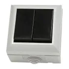 2 Gang Damp Proof Switch