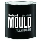 Fleetwood Mould Preventing Paint - 2.50 L / White