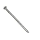 Round Wire Nail 100 x 4.5mm 10kg